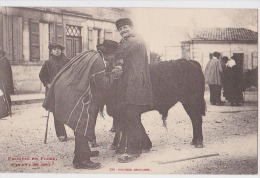 CROQUIS DE FOIRE - Fairs