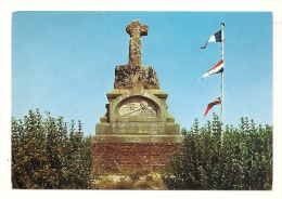 Cp, 80, Crécy-en-Ponthieu, Croix élevé à La Mémoire De Jean De Luxembourg - Crecy En Ponthieu