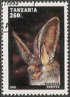 Tanzanie / Tanzania (1995) - Plecotus Auritus : Chauve-souris / Bat. L'oreillard Roux / The Brown Long-eared Bat. - Fledermäuse