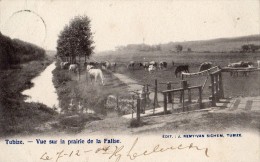 TUBIZE VUE SUR LA PRAIRIE DE LA PALISE  ENFANT CARTE PRECURSEUR DE 1904 - Tubize