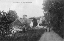 PRESLES UN COIN DE PREROLLES ANIMEE 1909 - Presles