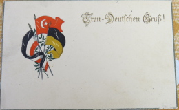 Treu Deutschen Gruss, Allies With Turkey, Litography, Political Propaganda, World War I - Political Parties & Elections