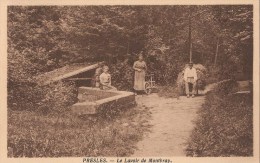 PRESLES  -  95  -  Le Lavoir De Montbray - Presles