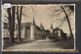 COLOMBIER - LE CHATEAU - TB - Colombier