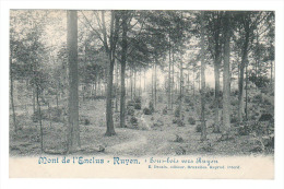 (J507) - Mont-De-L'Enclus - Ruyen - 4 Sous-bois Vers Ruyen / E. Desaix, éditeur, Bruxelles - Kluisbergen