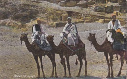 EGYPTE  BEDOUINS EN VOYAGE - Persone