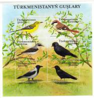 Turkmenistan / Birds / 2 S/S And 12 Stamps - Turkmenistán