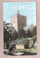 COLOUR VIEW, GRAVESTONES LLANBADARN CHURCH NEAR ABERYSTWYTH 1900s UNUSED - Cardiganshire