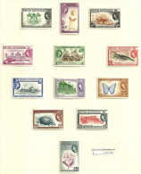 BRITISH HONDURAS QEII HEAD PICTORIAL ANIMAL BUTTERFLY ETC.SET OF 12 1 CENT- $5 MHD 1953 SG? CV85GBP  READ DESCRIPTION !! - Honduras Británica (...-1970)