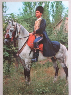Trachten Costume Horse Cheval - Croatia