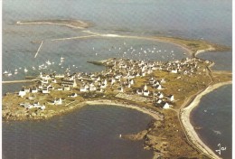 CPM FRANCE 29 FINISTERE ILE DE SEIN - La Partie Sud De L'île Et Le Port - Ile De Sein