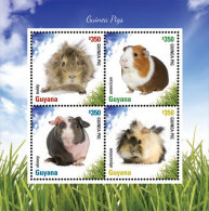 Guyana-2014-Fauna- Guinea Pigs - Guyana (1966-...)