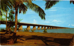 The Seven-Mile Bridge As Seen From Under The Coconut Palms  On Pigeon Key Along Florida's Overseas Highway - Key West & The Keys