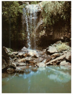 (PF 120) Australia - QLD - Mt Tambourine Park - Atherton Tablelands