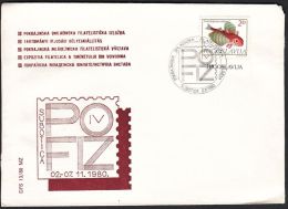 Yugoslavia 1980, Illustrated Ccover "Philatelic Exibition In Subotica 1980" W./ Special Postmark "Subotica", Ref.bbzg - Lettres & Documents