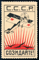 USSR 1924 USSR BUILDS (AIR FLEET) PRIVATE STAMP - Local & Private