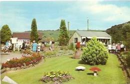 THE GARDENS AND WISHING WELL . SYMONDS YAT. - Herefordshire