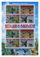 (WWF-450) W.W.F. Antigua & Barbuda Caribbean Coot MNH Sheetlet 2009 - Ongebruikt