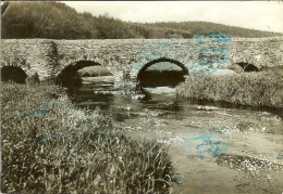 CP De MAISSIN " Vallée De La Haute Lesse , Sous Les Arches De Schiste Du Vieux Pont Marie-thèrèse ...." - Paliseul