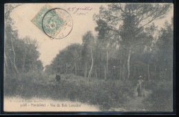 13 --  Marseille --- Montolivet --- Vue Du Bois Lemaitre - Saint Barnabé, Saint Julien, Montolivet