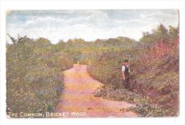 THE COMMON BRICKET WOOD Nr ST.ALBANS & WATFORD HERTFORDSHIRE - Hertfordshire