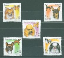 Russia Federation - 2000 Dogs MNH__(TH-13021) - Unused Stamps