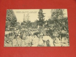 SAO PAULO - Giardino Pubblico  -  Jardin Publico -   Jardin Public    -   1911  -  (2 Scans) - São Paulo