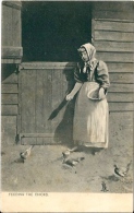 Postcard (Ethnics) - United Kingdom Feeding The Chicks - Zonder Classificatie