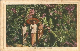 Postcard (Ethnics) - Dutch East Indies (Nederlands-Oost-Indië) - Indonesia - Zonder Classificatie
