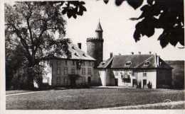 54 CIREY SUR VEZOUZE Chateau De Chatillon, Roger - Cirey Sur Vezouze