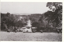 Postcard Leeds Roundhay Park 1919 Looking Down From The Mansion Repro - Leeds