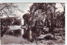 28. CLOYES SUR LE LOIR . LE PARC ZOLA ET LES BORDS DU LOIR.  Editions ESTEL - Cloyes-sur-le-Loir