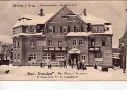 Allemagne.. Geising I. Erzgeb.. Animée.. Hôtel Stadt Dresden.. Sport D´hiver.. Ski.. Skieur - Geising