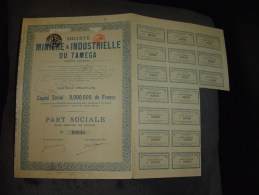 Part Soc."Sté Minière Et Industrielle Du Tamega " (Espagne)1923 Bon état,avec Tous Les Coupons.Mines - Russland