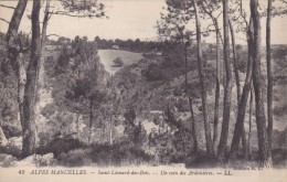 Cp , 72 , SAINT-LÉONARD-des-BOIS , Alpes Mancelles , Un Coin Des Ardoisières - Saint Leonard Des Bois