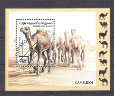 Sahara OCC R.A.S.D 1996 Camels, Perf. Sheet, Used AB.020 - Fantasy Labels