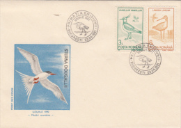 BIRDS, ROSEATE TERN, LAPWING, GODWIT, COVER FDC, 1991, ROMANIA - Albatros