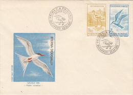 BIRDS, ROSEATE TERN, PIED AVOCET, WHISKERED TERN, COVER FDC, 1991, ROMANIA - Palmípedos Marinos