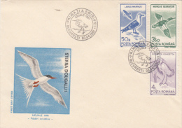 BIRDS, ROSEATE TERN, MARINE BIRDS, COVER FDC, 1991, ROMANIA - Marine Web-footed Birds