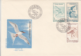 BIRDS, ROSEATE TERN, MARINE BIRDS, COVER FDC, 1991, ROMANIA - Albatros