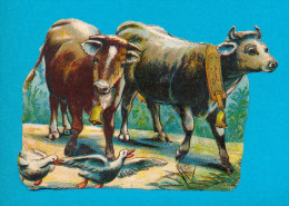 VICTORIAN SCRAP, COWS, DECOUPIS  ANCIENS, ANIMAUX, VACHE, GOOD Cond, 12 X 8 Cm - Animales