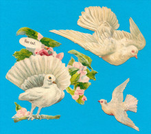 LOT 3 VICTORIAN SCRAP, WHITE DOVE, DECOUPIS  ANCIENS GAUFRE, COLOMBE, Near EX Cond, + Grande 10 X 9.5 Cm - Flowers