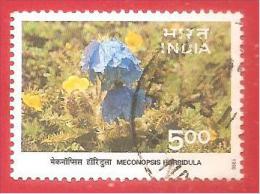 INDIA USATO - 1996 - Himalayan Ecology - Meconopsis Horridula - 5 ₨ - Michel IN 1504 I - Usati