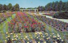 Reinisch Rose Garden Topeka Kansas - Topeka