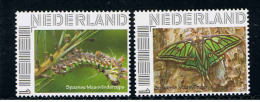 Persoonlijke Postzegels Nieuw Vlinders Nieuw.Vlinder En Hun Rups Spaanse Maanvlinder - Vlinders
