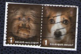 Belgique 2014 Lot 2 Oblitérés Used Dogs Chiens Yorkshire Terrier Et Jackrussel Terrier - Usados