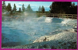 Fountain Paint Pot Yellostone Park WY 1960s Nice Scenic Postcard - Yellowstone