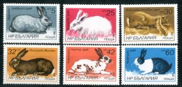 BULGARIA 1986** - Conigli / Rabbits - 6 Val. MNH (set Completo)  Come Da Scansione. - Conejos