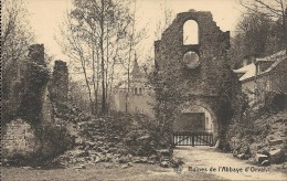 ORVAL : Ruines De L'Abbaye - Eglise Sainte Marguerite - CPA PEU COURANTE - Florenville
