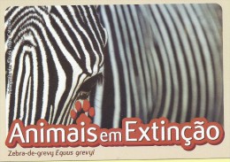 CARTE POSTALE - POSTCARD - POSTKARTE - CARTOLINA POSTA - PORTUGAL - ANIMAUX - ZEBRA GREVY - Equus Grevy - Zèbres